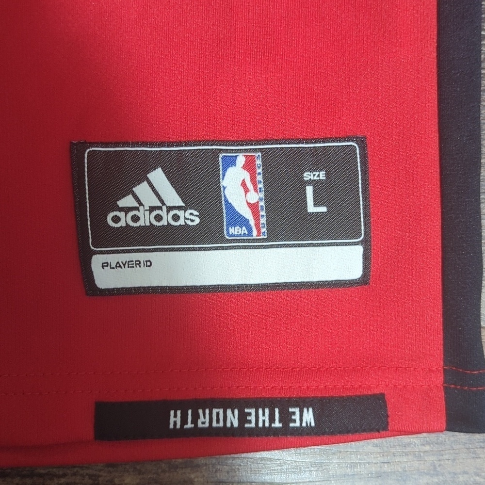 Adidas DeMar DeRozan Red Toronto Raptors #10 Jersey Size Large - Picture 4 of 9